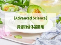 【项目案例】|ADV SCI人工合成异源四倍体“金瓜”基因组揭示多倍化机制