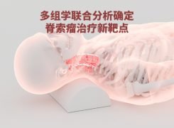 【成功案例】上海交通大学医学院利用多组学技术(RNA-seq、ATAC-seq和Hi-C)联合确定脊索瘤治疗新靶点CA2